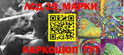 шишки Донской
