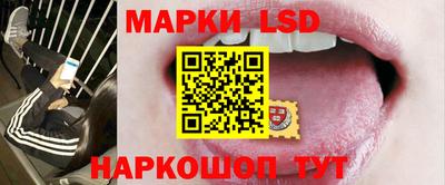 шишки Донской