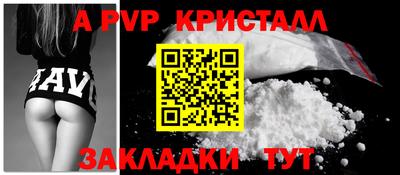 шишки Донской